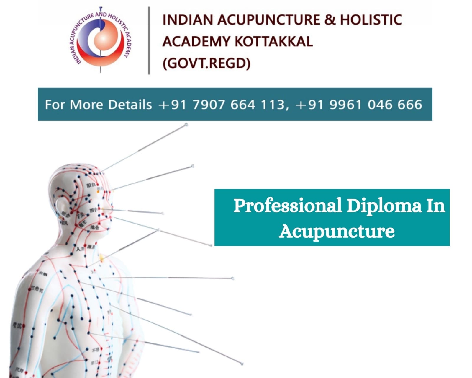 INDIAN ACUPUNCTURE HOLISTIC ACADEMY KOTTAKKAL